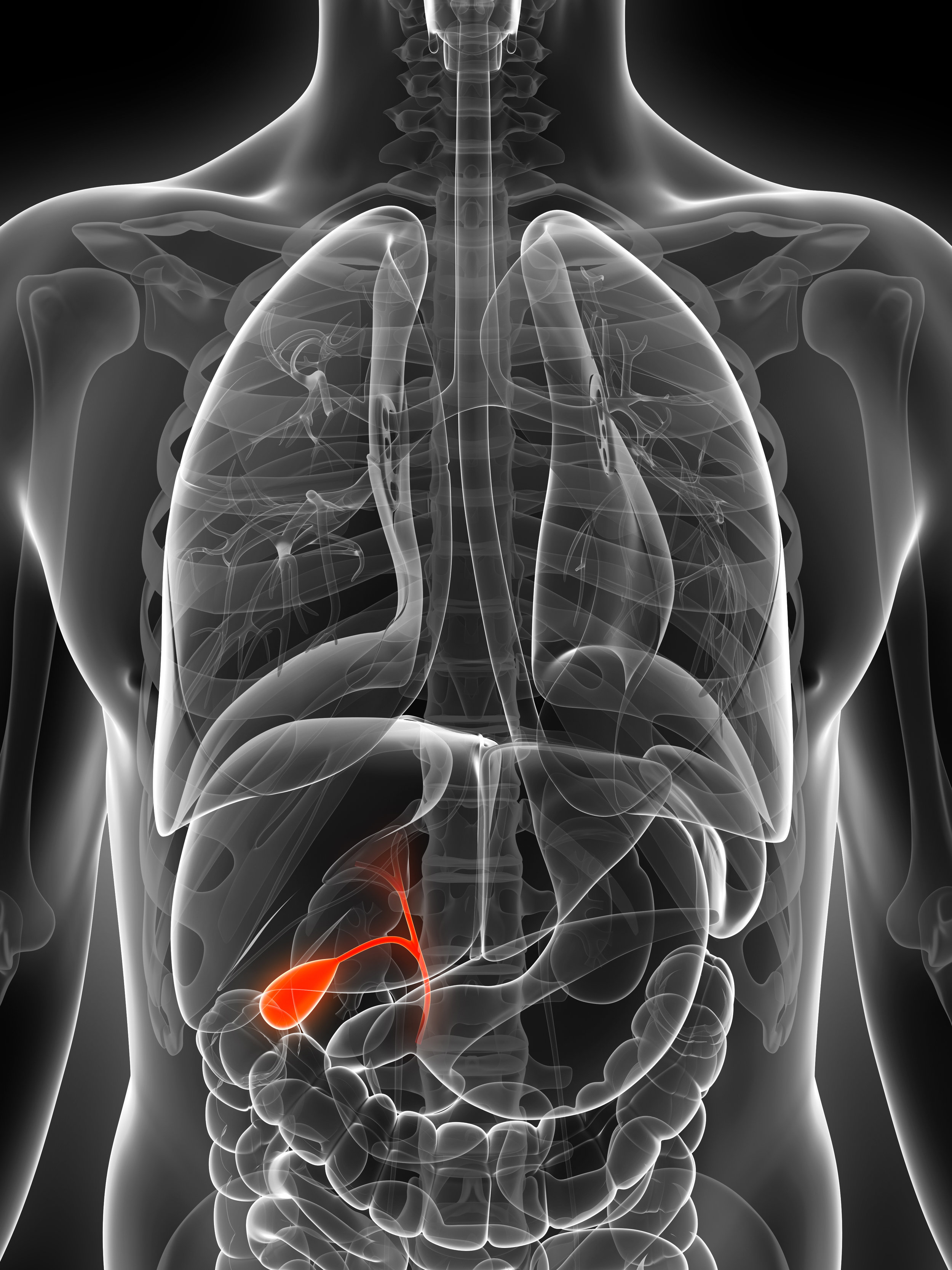 Gallbladder- Anatomy, Functions and Conditions